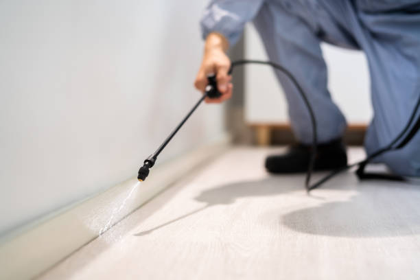 Licensed Pest Control service in Deans, NJ - Nex Pest Control