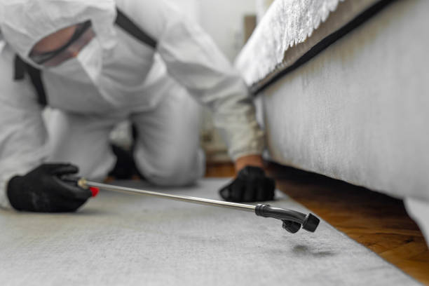 Professional Pest Control technician working in Deans, NJ