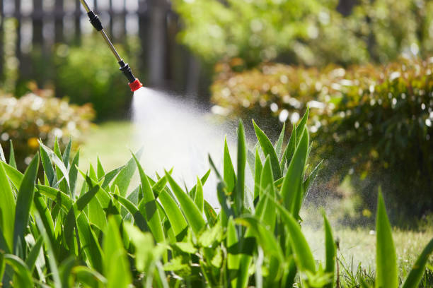 24/7 Emergency Pest Control experts in Deans, NJ