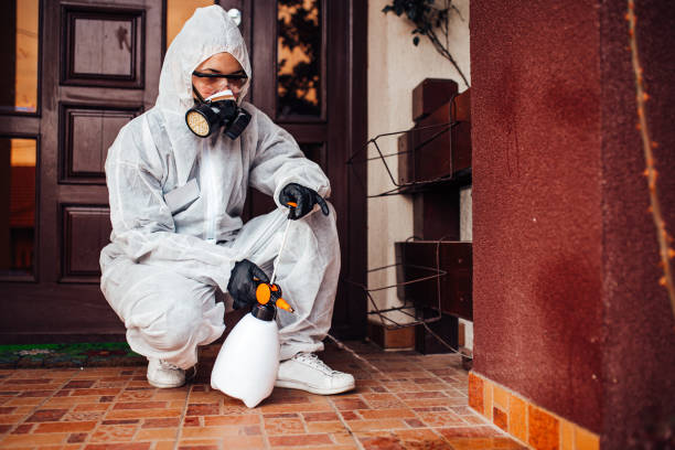 Reliable Pest Control contractor in Deans, NJ by Nex Pest Control